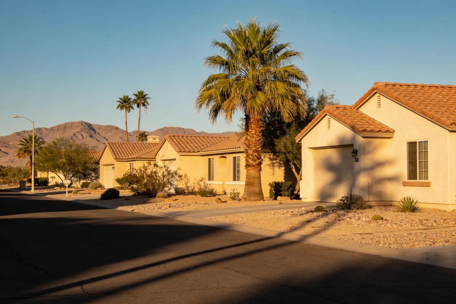 A quiet Arizona street of low stucco homes with tile roofs and palms in late golden light.